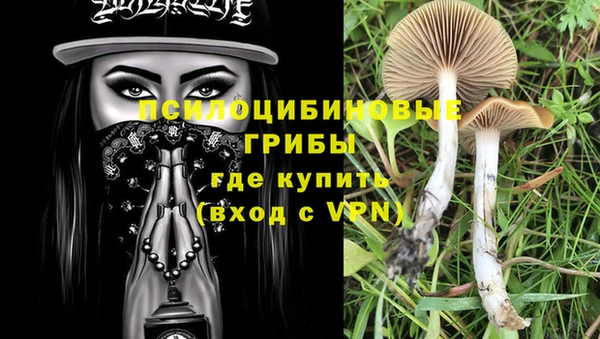 Альфа ПВП Кулебаки