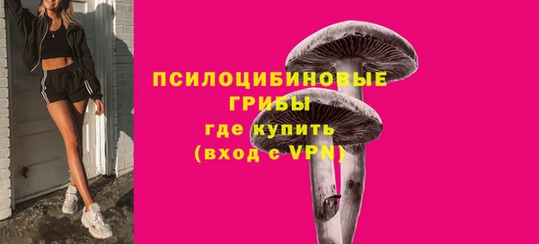 сатива Коряжма