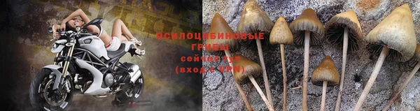 a pvp Красноперекопск