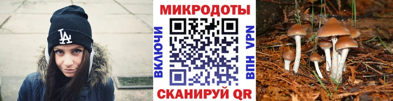 где найти   Ленинск-Кузнецкий  Псилоцибиновые грибы мицелий 