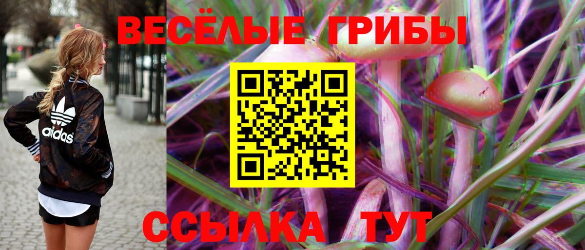 Псилоцибиновые грибы ЛСД Ленинск-Кузнецкий