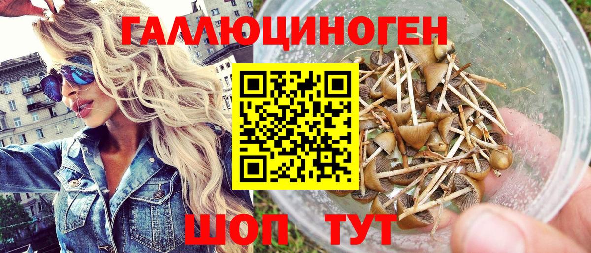 Ленинск-Кузнецкий  Псилоцибиновые грибы Cubensis  сколько стоит  Вход с VPN 